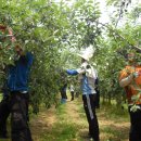 유전1리 이미지