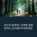 송이밸리자연휴양림, 최고의 데이트 코스 추천