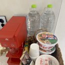 트리몰리 이미지