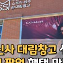 가포초등학교 | 러블리 곰인형이 가득한 마산 가포 카페 홀리벨리 다녀온 후기