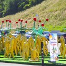 금산세계인삼축제와 가볼 만한 곳, 보약이 필요 없는 웰니스 나들이: 금산인삼약령시장, 금산원조김정이삼계탕 이미지