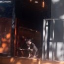 샛강어린이공원 화장실 이미지