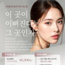 라인토탈뷰티