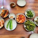 꼴통창평국밥 - 영암군 신항로 98 | 꼴통창평국밥