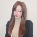 짜르지오 이미지