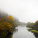 리버벨리 이미지