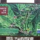 대공산성 등산로 Daum카페