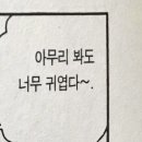 제주우 이미지