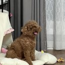 동창베스트주식회사 동창주유소 | 2023 끝!