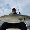 마블피시 이미지