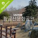 지금동도시공원 이미지