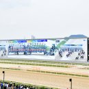 캡틴축산 이미지