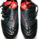 스폰지캐럿 이미지