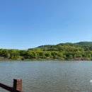 인천대공원(자전거광장) 이미지