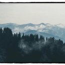 안세치과의원 이미지