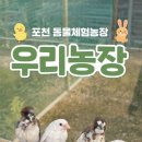 해뜨는농장 | 포천 우리농장 서울근교 아이랑 가볼만한곳 포천 동물체험농장 추천