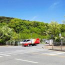 우체국 이팝나무 이미지