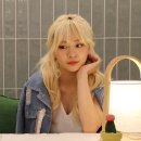 안지영 카카오 검색결과