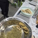 강남 비만 치료 한의원 다이어트 약, 보조제, 뭐가 특별할까?