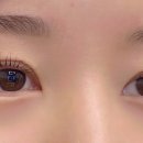온래쉬(ON LASH)