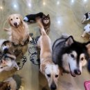 포포앤미루 강동점 이미지