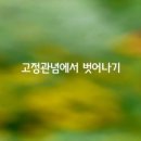 고정관념