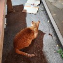 바이드302 이미지