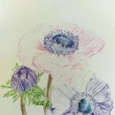 아름다운 꽃 그림 보타니컬아트 이미지