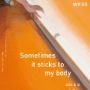 웨스(WESS) 이미지