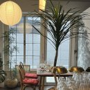 씨비젼 | 평택 소사벌 양식 맛집 추천 탭씨 TAB.C