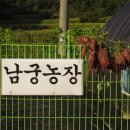 남궁농장 이미지