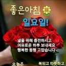 옥샘가수님 또바기님들 좋은아침이에요 오늘도 즐거운 주말 일요일 보내세요 화이팅해요 감기 코로나 조심하세요 사랑합니다❤️❤️❤️ 이미지