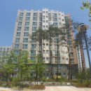 세종 아파트 버스정류장 이미지