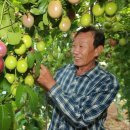 대열농장 이미지