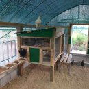 선민농장 이미지