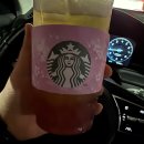 그린공단로 | 4월 주간기록 1-2 : 아니 뜨개할 시간이 부족한게 말이 되나