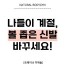 바디짐 티스토리