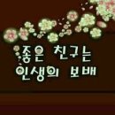 보배 이미지