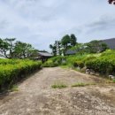 평지마을앞~신기마을앞 이미지