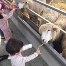 미림목장 이미지