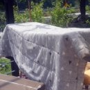 백수보건지소 이미지