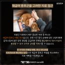 하나동물종합병원 이미지