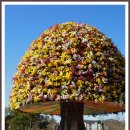 꿈에궁전 이미지