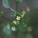 동해어달산봉수대 이미지