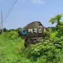 표선전천후게이트볼장 이미지