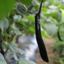 뉴그린팜 이미지