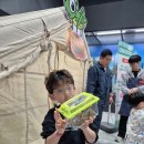 521생태테마파크 입장료 예약 TV생물도감 아이랑 후기