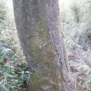 느티나무2농장 이미지