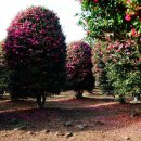 남원읍-29 이미지