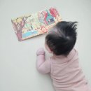 내가도서관 | 내 생애 첫도서관 내첫도 어스본 사운드북, 플레이송스 사운드북 이용후기